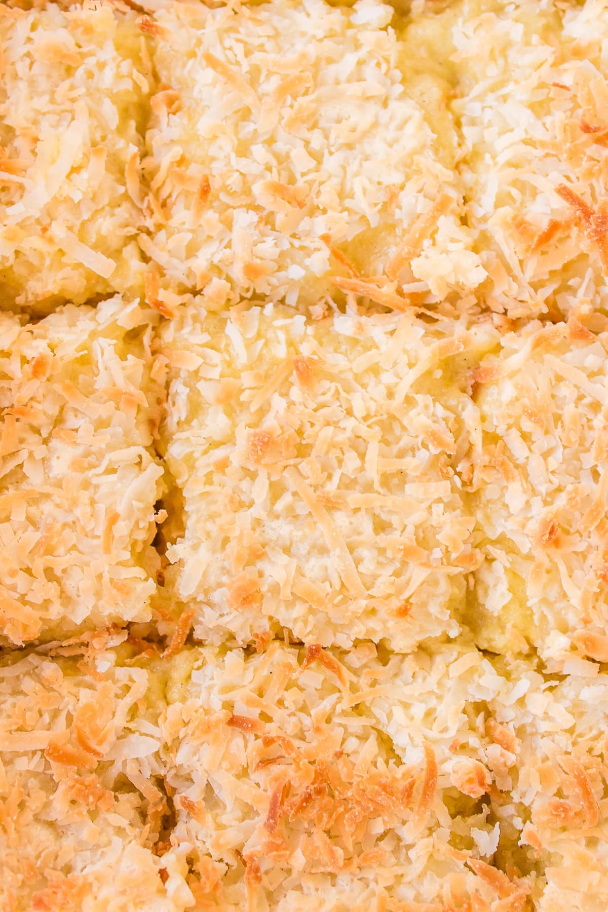 Almond Coconut Bars recipe from RecipeGirl.com almond coconut bars