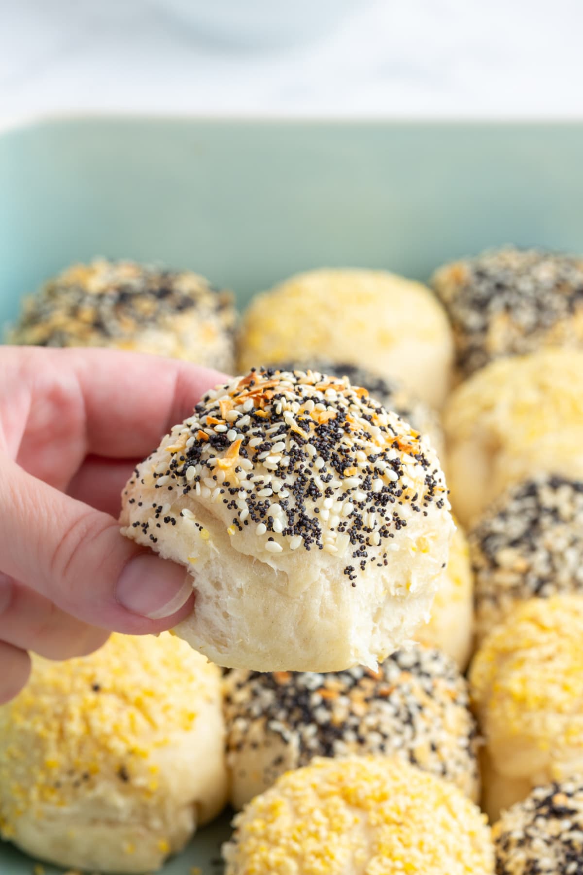 Checkerboard Dinner Rolls recipe from RecipeGirl.com hand holding a checkerboard dinner roll
