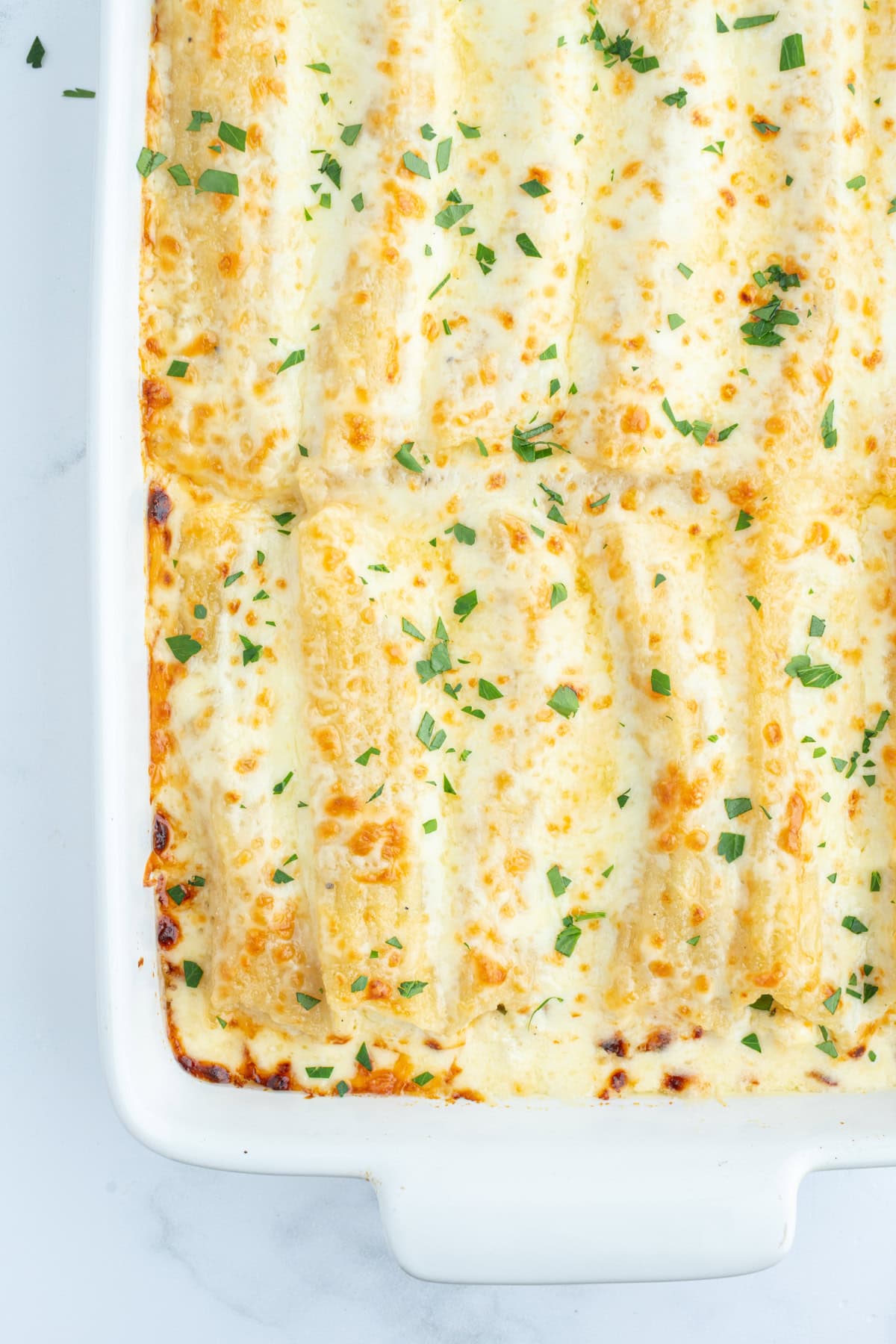 Chicken Manicotti Alfredo recipe from RecipeGirl.com : best stuffed manicotti : chicken manicotti : cheese manicotti : cheesy pasta recipe! chicken manicotti alfredo in white baking dish
