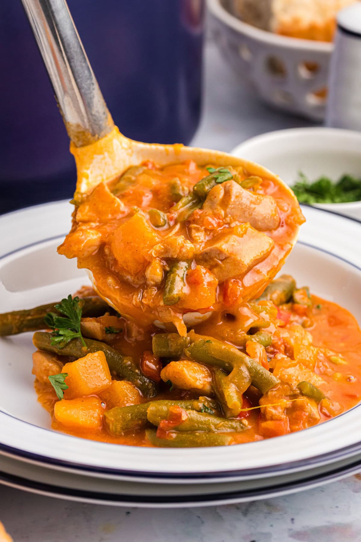 Chicken Pumpkin Stew recipe from RecipeGirl.com ladle full of chicken pumpkin stew onto plate