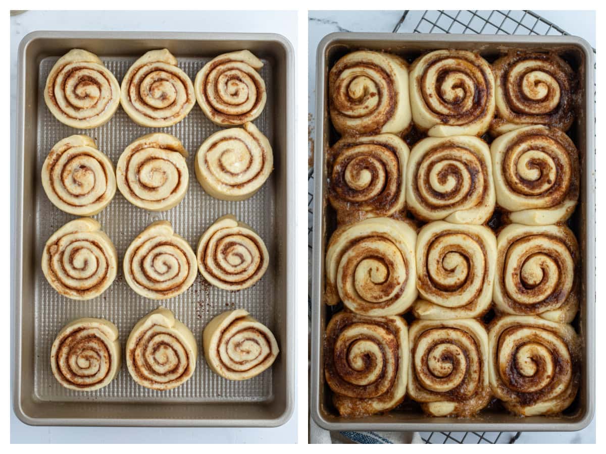 Copycat Cinnabon Cinnamon Rolls recipe from RecipeGirl.com two photos showing cinnamon rolls in pan and then risen in 2nd photo
