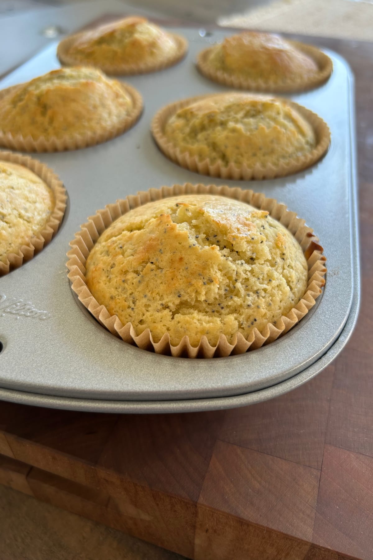 Lemon Poppy Seed Muffins recipe from RecipeGirl.com poppy seed muffins in baking pan